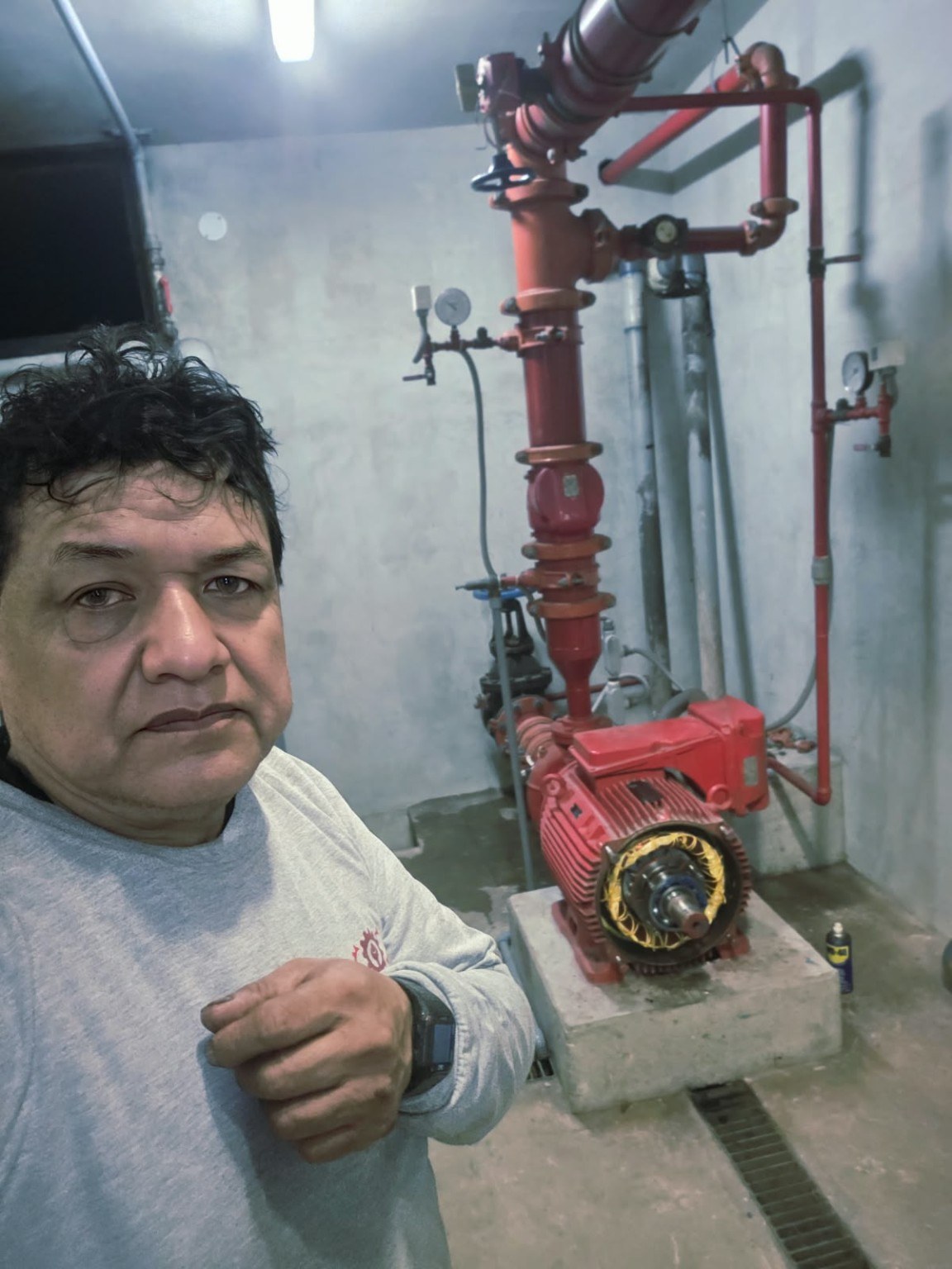 Reparación de motor contra incendio