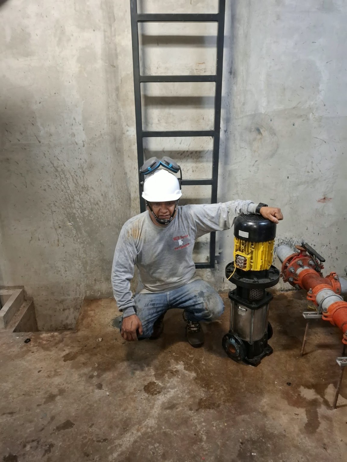 Motor vertical y sistema de bombeo